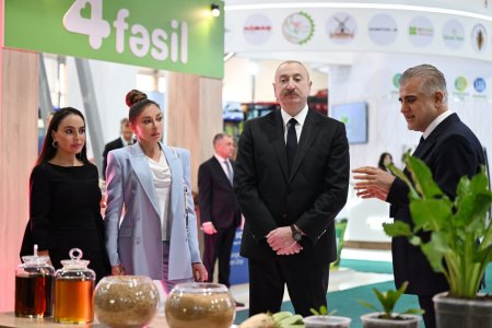 Prezidentlə xanımı sərgilərlə tanış oldu