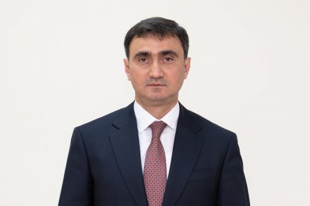 Prezident onu nazirə birinci müavin təyin etdi