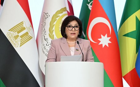 Sahibə Qafarova İƏTPİ-nin 20-ci sessiyasında çıxış etdi 