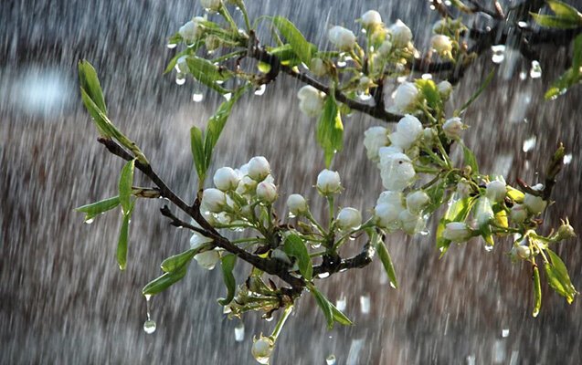Yağışlı hava ilə bağlı xəbərdarlıq